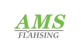 AMS FLAHSING logo