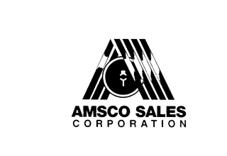 AMSCO SALES CORPORATION logo