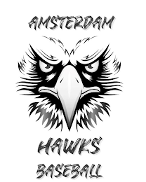 AMSTERDAM HAWKS BASEBALL logo
