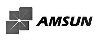 AMSUN logo