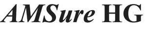 AMSURE HG logo