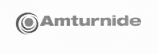 AMTURNIDE logo