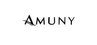 AMUNY logo