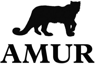 AMUR logo