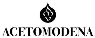 AMV ACETOMODENA logo