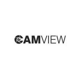 AMVIEW logo