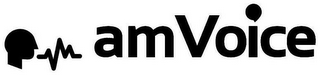 AMVOICE logo