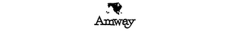 AMWAY logo