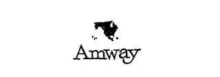 AMWAY logo