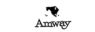 AMWAY logo