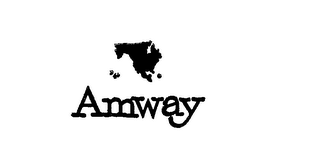 AMWAY logo