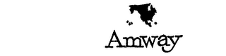 AMWAY logo