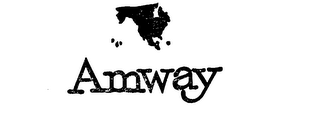 AMWAY logo