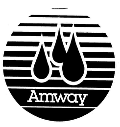 AMWAY logo