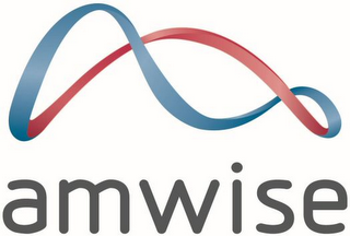 AMWISE logo