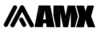 AMX logo