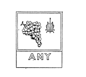 AMY logo