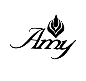 AMY logo