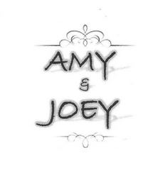 AMY & JOEY logo