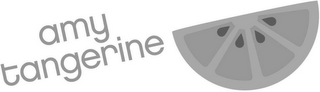 AMY TANGERINE logo