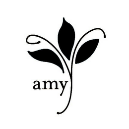 AMY Y logo