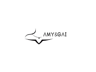 AMY&GAI logo