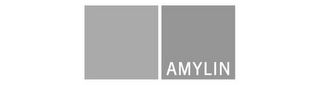 AMYLIN logo
