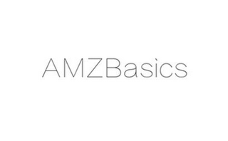 AMZBASICS logo