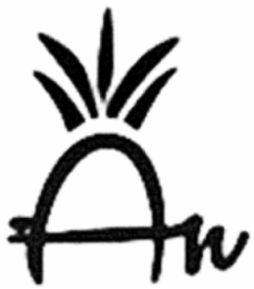 AN logo