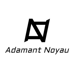 AN ADAMANT NOYAU logo