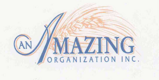 AN AMAZING ORGANIZATION, INC. logo