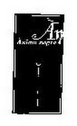 AN ANIMA NEGRA logo