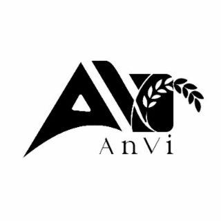 AN ANVI logo