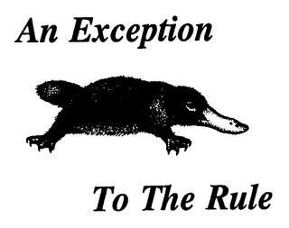 AN EXCEPTION TO THE RULE logo