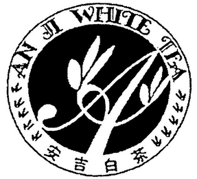 AN JI WHITE TEA logo