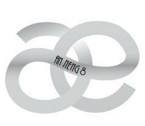 AN NENG 8 logo