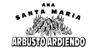 ANA SANTA MARIA ARBUSTO ARDIENDO logo
