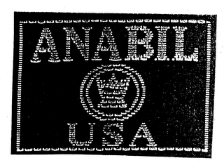 ANABIL USA logo