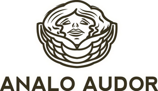 ANALO AUDOR logo