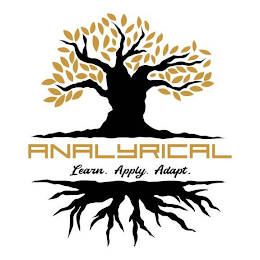 ANALYRICAL LEARN. APPLY. ADAPT. logo