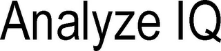 ANALYZE IQ logo