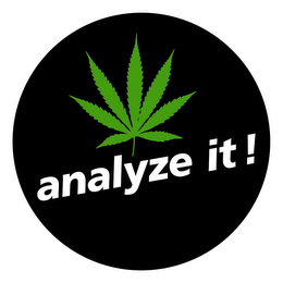 ANALYZE IT! logo