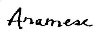 ANAMESE logo