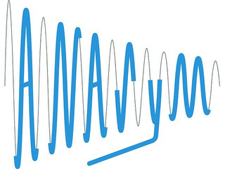 ANASYM logo