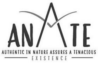 ANATE AUTHENTIC IN NATURE ASSURES A TENACIOUS EXISTENCE logo