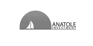 ANATOLE INVESTMENT logo