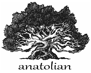 ANATOLIAN logo
