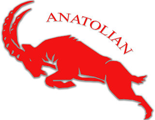 ANATOLIAN logo