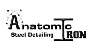 ANATOMIC IRON STEEL DETAILING logo