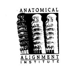 ANATOMICAL ALIGNMENT INSTITUTE logo